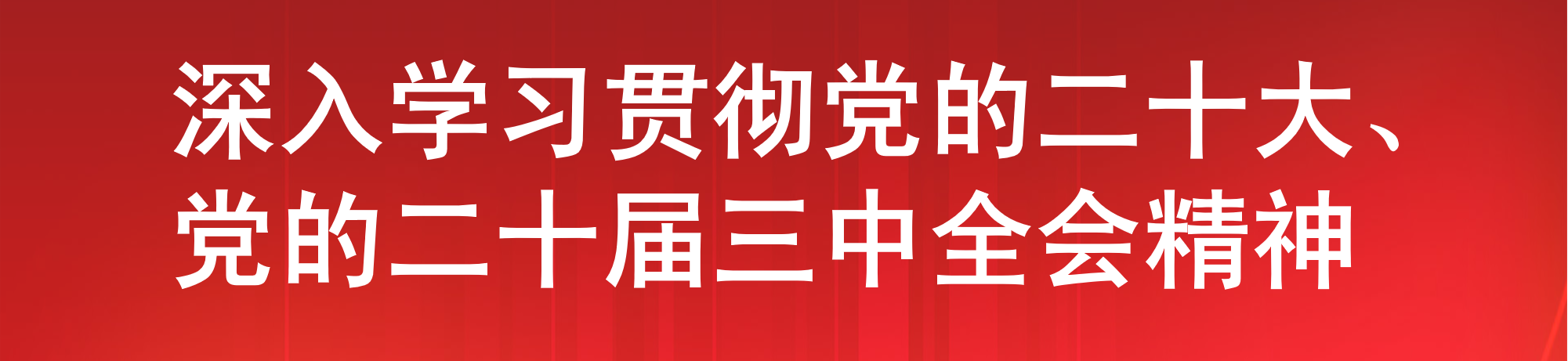 二十大学习贯彻